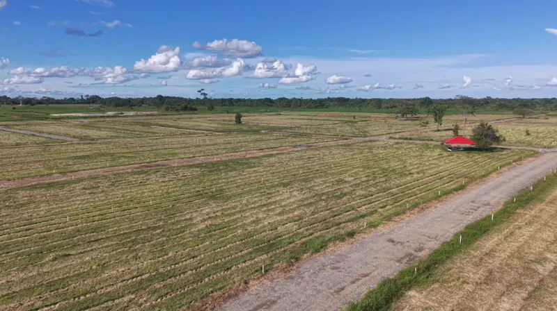Sabana Real - Lotes Campestres